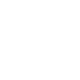 NYSL Trophy